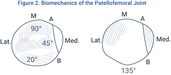 Figure 2. Biomechanics of the Patellofemoral Joint