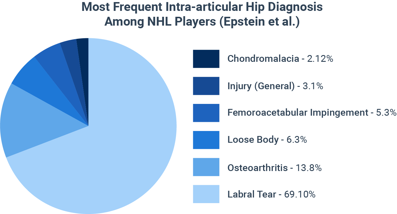 nhl injury statistics 2013