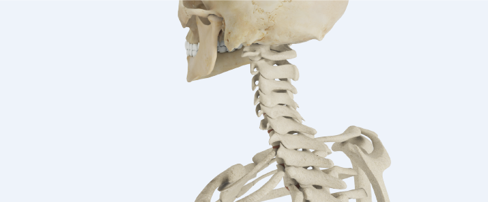 Does My Patient Have Mechanically Reproducible Spine Pain?